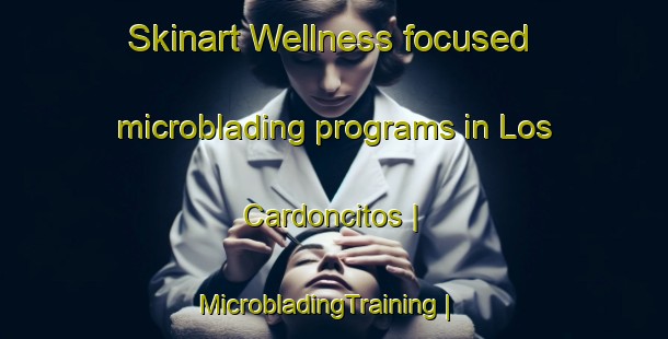 Skinart Wellness-focused microblading programs in Los Cardoncitos | MicrobladingTraining | MicrobladingClasses | SkinartTraining-Mexico